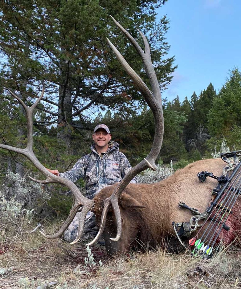 archery-elk-21-1